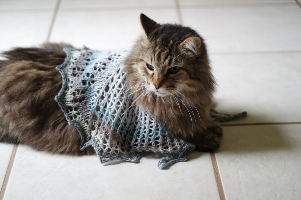A tabby cat wearing a knitted lace shawl lying a tile floor.